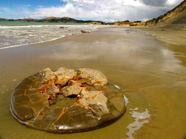 Las extrañas rocas MOERAKI de Nueva Zelanda A-sand-smoothed-half-moeraki-boulder-up-the-beach-a-mile-from-the-main-group