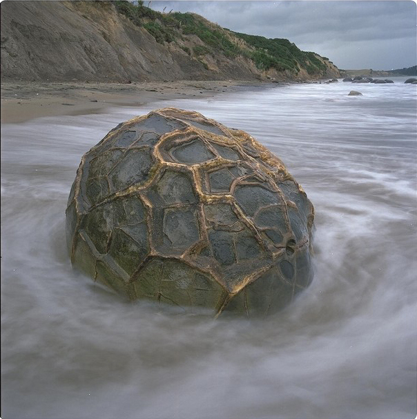 Las extrañas rocas MOERAKI de Nueva Zelanda Moeraki-boulder-with-strange-cover