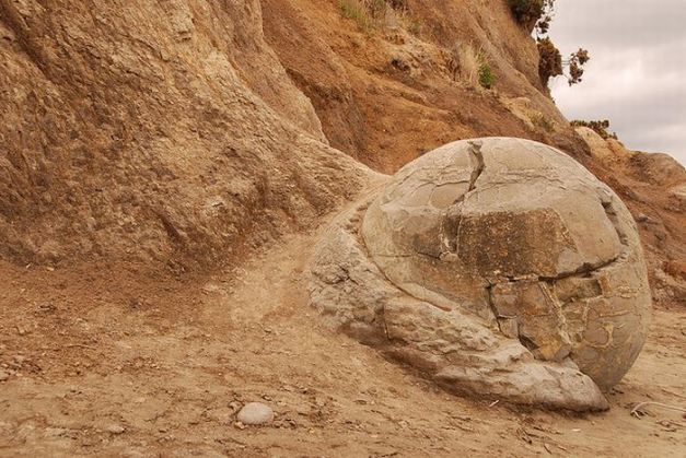 Las extrañas rocas MOERAKI de Nueva Zelanda Moeraki_boulders_12
